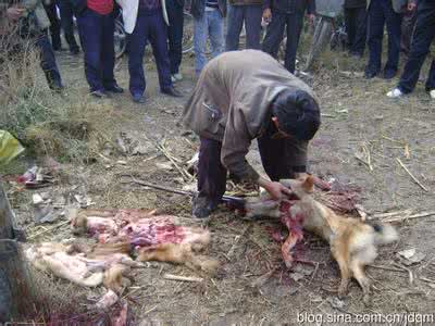 钻地弹杀死的惨状图片 钻地弹杀死的惨状图片 钻地弹的威力