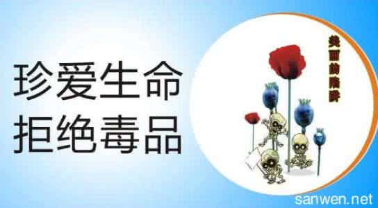 禁毒工作总结 禁毒工作总结 禁毒工作总结范文
