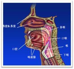 头颈部肿瘤的症状 头颈部肿瘤 头颈部肿瘤的注意事项