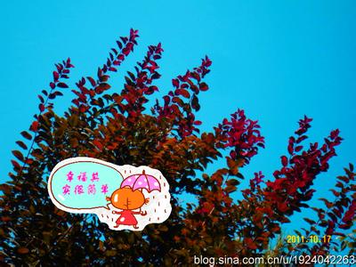 感悟人生的早安心语 【感悟生活 - 心安】