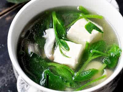 豌豆尖豆腐汤 豌豆尖蘑菇豆腐汤 帮助女性抗衰老