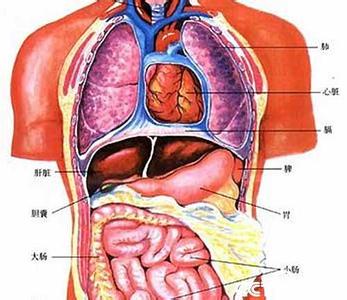 体内排毒的最好方法 体内有没毒，身体告诉你（详解排毒方法）