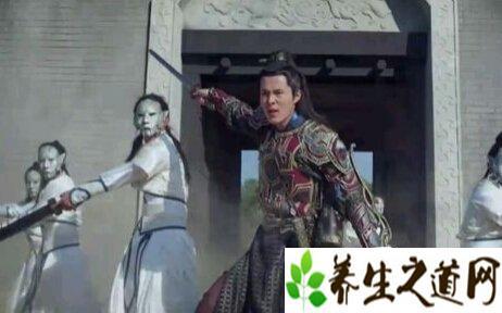 韦孝宽干掉了多少名将 名将韦孝宽坚守玉璧 创造出以长布挡战车的战法