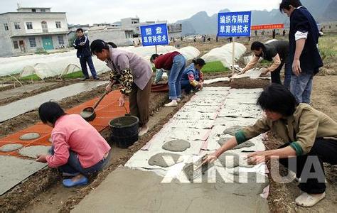 农业技术推广存在问题 农业技术推广中存在的问题及应对措施