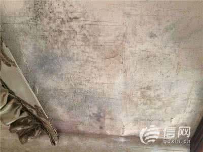 屋顶墙皮脱落 屋顶渗水 墙皮脱落 瓷砖铺贴的小方法 防止出现松动、脱落、渗水