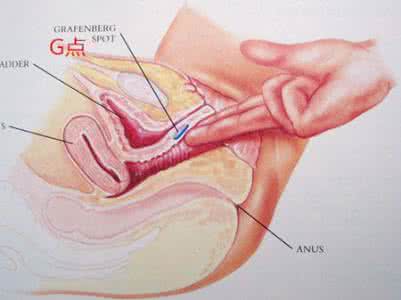 女性喜欢舌舔阴蒂自述 女性自述阴蒂高潮的真实感觉