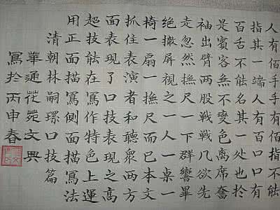 两位印度藩王 林嗣环 林嗣环因触犯两位意图谋反的藩王而被革职坐牢