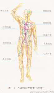人体毒素的主要来源 人体毒素的主要来源 人体这里竟然暗藏毒素