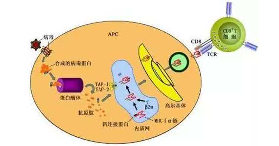 我与漂亮妈妈那一夜 这个方法一夜把脸上毒素排干净，越来越漂亮！我已经告诉你了！