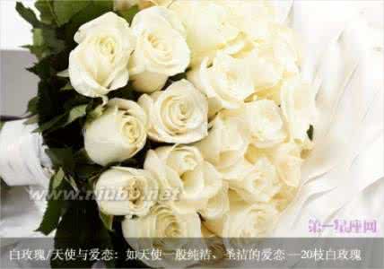 白玫瑰代表什么花语 白玫瑰的花语是什么 33朵白玫瑰花语 白玫瑰代表什么