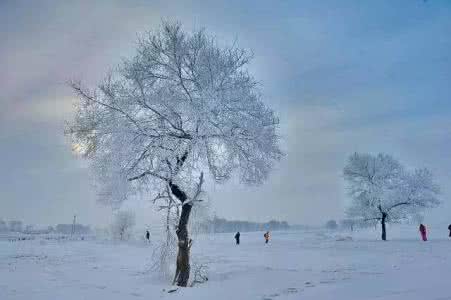 中国现在哪里在下雪 一下雪，中国就变成了中國！