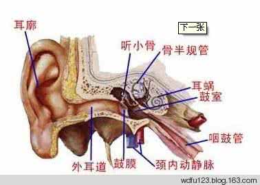 民间治疗中耳炎偏方 中耳炎秘方大公開