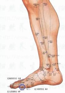 肌肉萎缩症 头发麻.化痰.出血.鼻炎肌肉萎缩骨质疏松、腰腿痛流口水