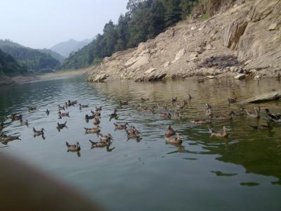 清溪有什么好玩的地方 一什么清溪?