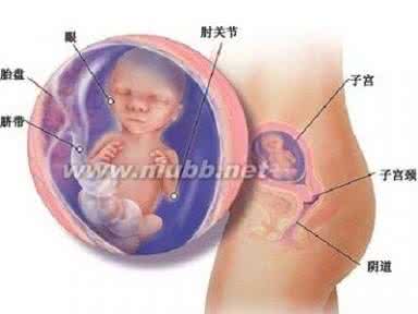 怀孕6个月胎动视频 怀孕6个月胎动