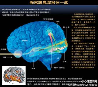 联觉 联觉：让你听见颜色的超能力？