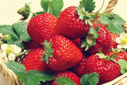 草莓的营养价值 草莓的营养价值 盘点草莓的5大营养价值