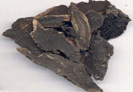 桔梗的功效与作用 玄参的功效与作用