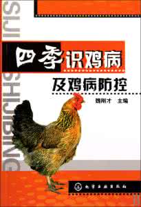 蛋鸡粪污处理的重要性 重要鸡病简介(四)