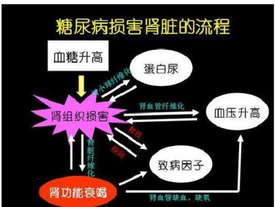 idf全球糖尿病概览 图解：糖尿病概览