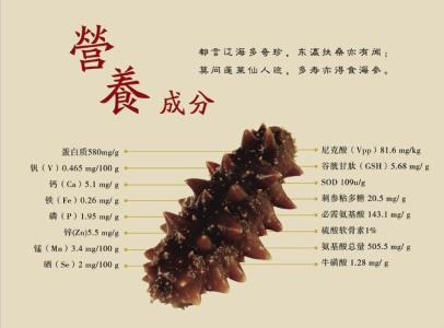 海参怎么吃最有营养 海参的营养价值及功效