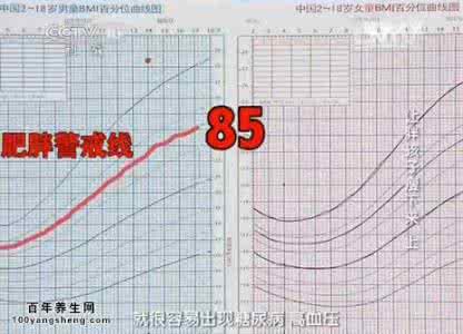 健康之路铁棍山药 健康之路20150510视频和笔记:红薯的做法,山药的做法