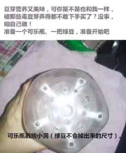 中班健康好吃的豆芽 图解：想吃健康无毒的豆芽？一个可乐瓶子就能种出来！