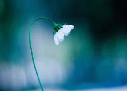 给33岁未婚女人的忠告 给未婚男士的一些忠告