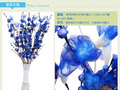 叶脉干花喷水开花原理 叶脉干花喷水开花原理 叶脉干花的保养方法以及制作过程