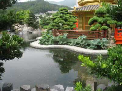 香港南莲园池 香港南蓮園池(一)園林