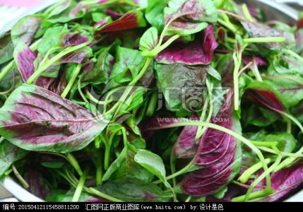 端午节吃苋菜 端午节后吃苋菜强身解毒
