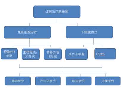 干细胞领域知名专家 干细胞治疗领域市场概况梳理