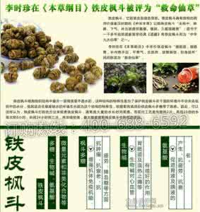 铁皮枫斗功效与作用 铁皮枫斗10功效 让你离健康更近一步