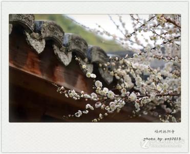 一日禅集锦经典 一日禅集锦（792）