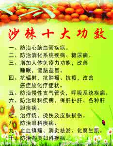 完美沙棘茶的十大功效 沙棘的十大功效 沙棘十大功效有什么呢?