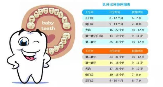 牙齿护理小知识 牙齿护理小知识 宝宝牙齿护理小知识