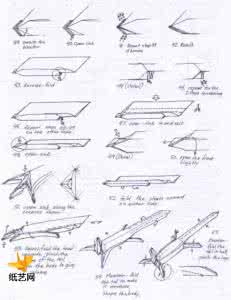 漂亮燕子折纸图解教程 折纸蝾螈教程【漂亮的折纸大全图解】