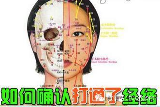 孔雀鱼繁殖不看后悔啊 精华啊,不看悔死你~