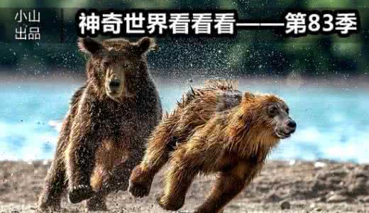 神奇世界看看第76季 神奇世界看看看25 你家的50㎡还不如人家25㎡!看看你还差了点啥?