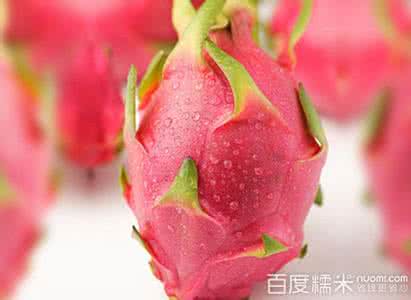 火龙果是不是寒性 火龙果是不是寒性 【火龙果是凉性的吗】火龙果是不是凉性的