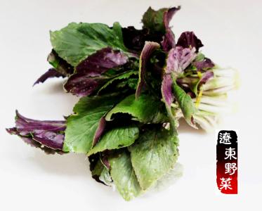 蒲公英与荠菜图片区别 山野菜五种:荠菜、垂果南芥、菥蓂、蒲公英、薤白