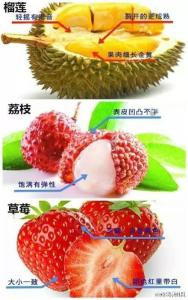 史上最全澳门德州攻略 史上最全的水果挑选攻略