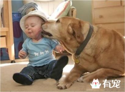 自打养了狗狗，就跟养个孩子似的