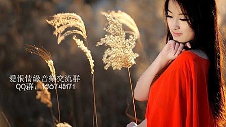 好听的伤感网络歌曲 伤感 爱情 网络歌曲