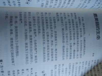 火柴的燃烧800字作文 燃烧作文20字