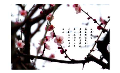 梅花儿香 梅 花 绝 句