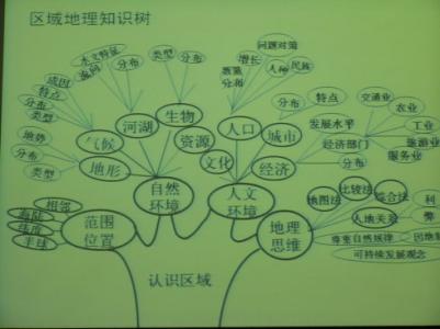 竹鞭生长走向图片 课改，从积淀走向生长