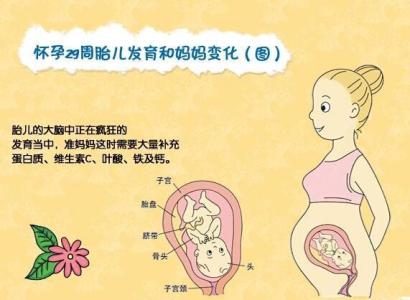 怀孕29周吃什么水果好 怀孕29周饮食注意事项