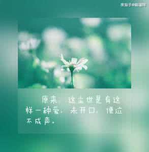 有关爱情的夏七夕名言 夏七夕的名言
