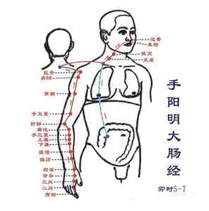 经络学习第二讲:手阳明大肠经